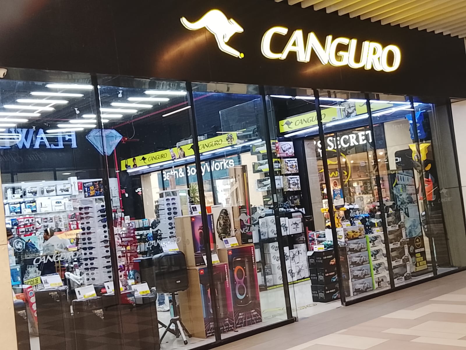 CANGURO TECNOLOGÍA
